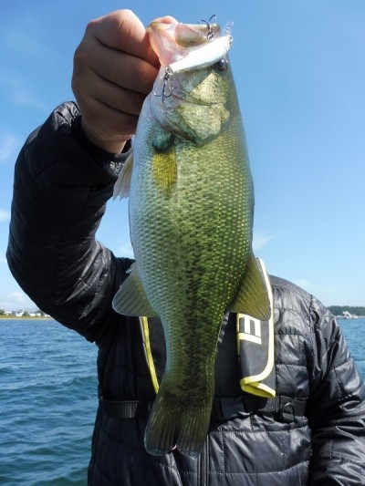 truth smiley_fishing_report ブログ写真 2015/10/03