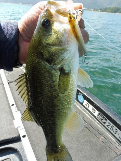 truth smiley_fishing_report ブログ写真 2015/10/03