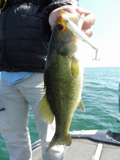 truth smiley_fishing_report ブログ写真 2015/10/03