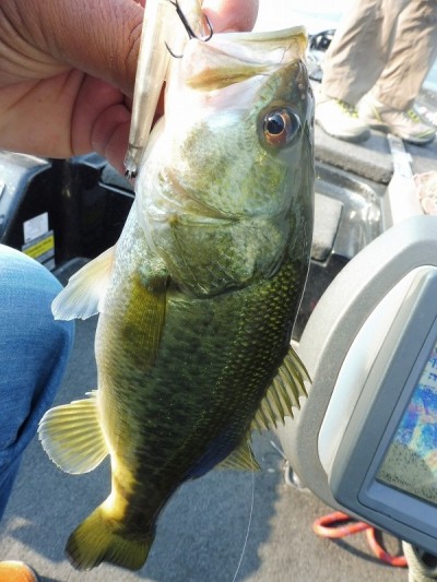 truth smiley_fishing_report ブログ写真 2015/10/04