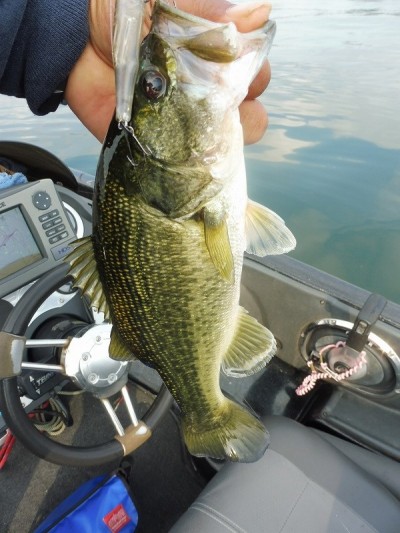 truth smiley_fishing_report ブログ写真 2015/10/04
