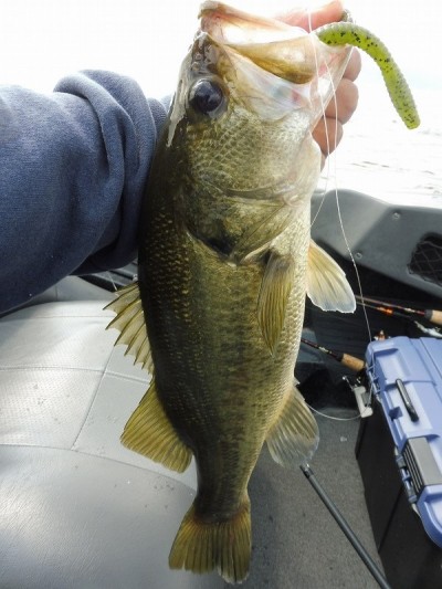 truth smiley_fishing_report ブログ写真 2015/10/04