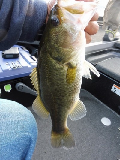 truth smiley_fishing_report ブログ写真 2015/10/04