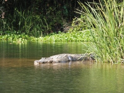 truth smiley_fishing_report ブログ写真 2015/11/02