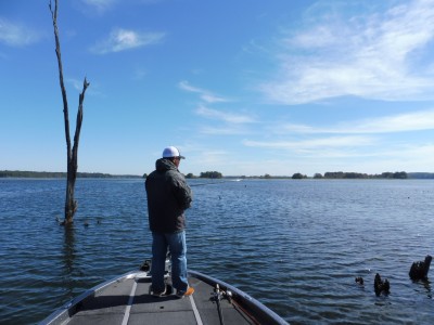 truth smiley_fishing_report ブログ写真 2015/11/02