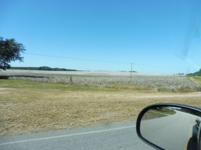 truth smiley_fishing_report ブログ写真 2015/11/02