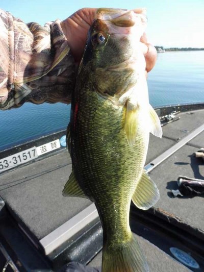 truth smiley_fishing_report ブログ写真 2015/11/04