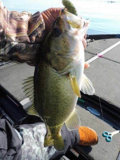 truth smiley_fishing_report ブログ写真 2015/11/04