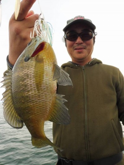 truth smiley_fishing_report ブログ写真 2015/11/07