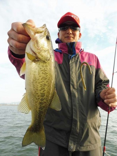 truth smiley_fishing_report ブログ写真 2015/11/21