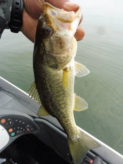 truth smiley_fishing_report ブログ写真 2015/11/22