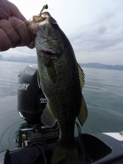 truth smiley_fishing_report ブログ写真 2015/11/22