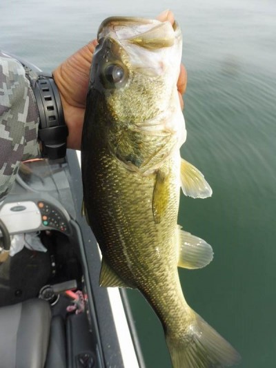 truth smiley_fishing_report ブログ写真 2015/11/22