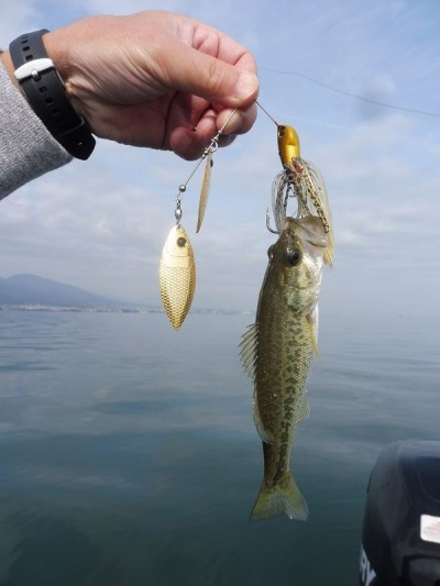 truth smiley_fishing_report ブログ写真 2015/11/22