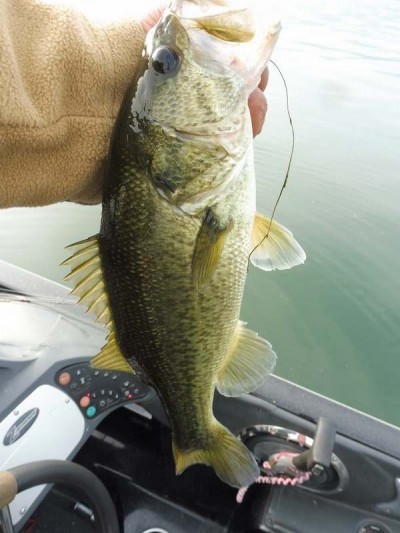 truth smiley_fishing_report ブログ写真 2015/11/22