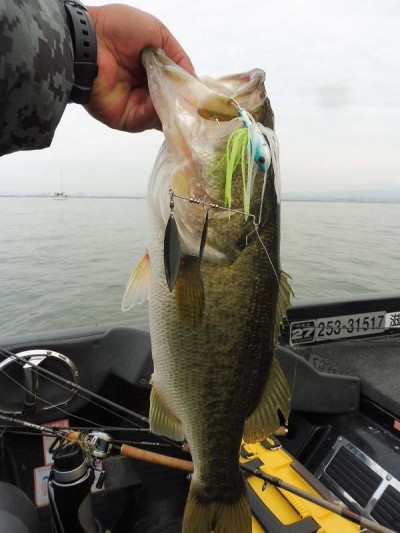truth smiley_fishing_report ブログ写真 2015/11/22