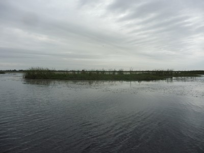 truth smiley_fishing_report ブログ写真 2016/01/04