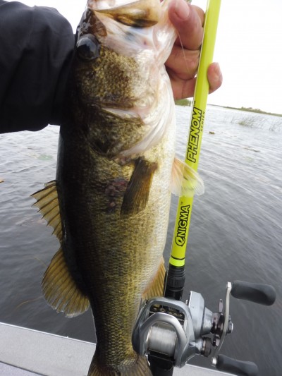 truth smiley_fishing_report ブログ写真 2016/01/04