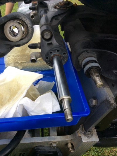 truth smiley_fishing_report ブログ写真 2016/01/08