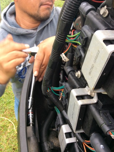 truth smiley_fishing_report ブログ写真 2016/01/08