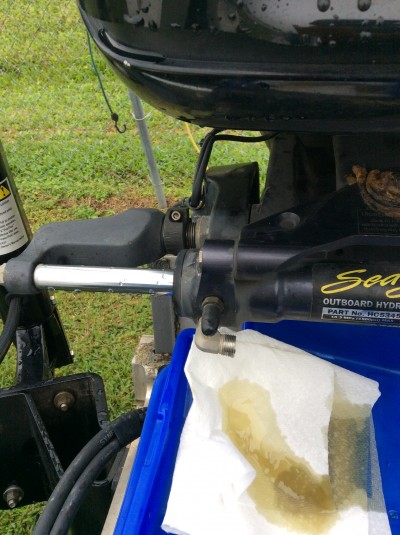 truth smiley_fishing_report ブログ写真 2016/01/08