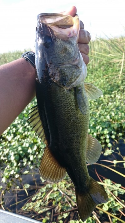 truth smiley_fishing_report ブログ写真 2016/01/09