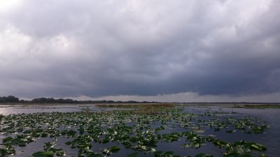 truth smiley_fishing_report ブログ写真 2016/02/17