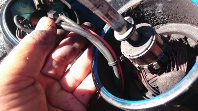 truth smiley_fishing_report ブログ写真 2016/02/18