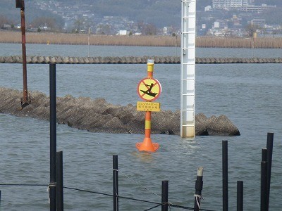 truth diary ブログ写真 2012/04/03