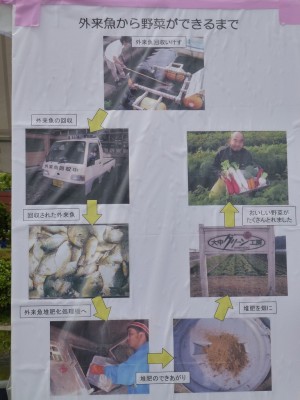 truth diary ブログ写真 2012/06/19