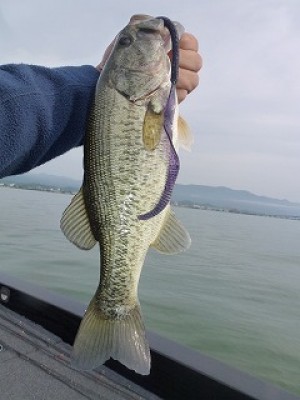 truth diary ブログ写真 2012/06/24