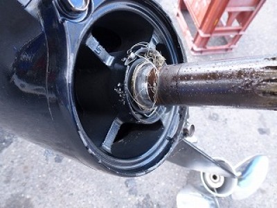 truth diary ブログ写真 2012/09/11