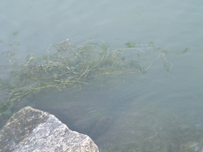 truth diary ブログ写真 2012/10/01