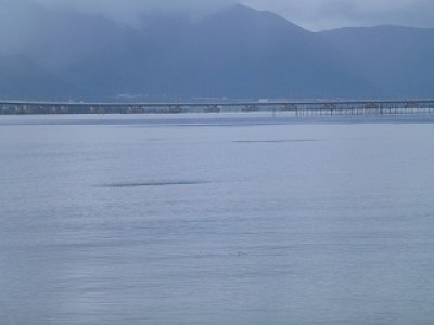 truth diary ブログ写真 2012/10/01