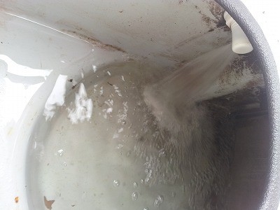 truth diary ブログ写真 2012/12/06