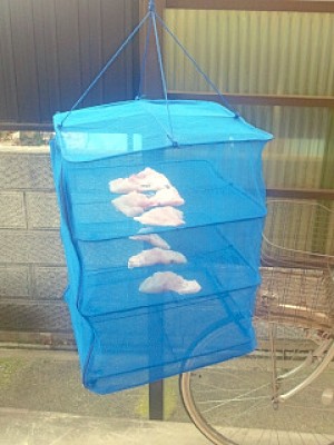 truth diary ブログ写真 2012/12/29