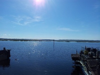 truth diary ブログ写真 2013/01/17