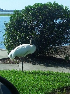 truth diary ブログ写真 2013/01/17