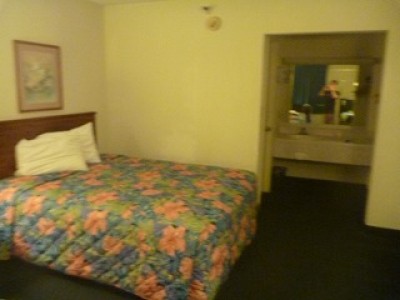 truth diary ブログ写真 2013/01/17