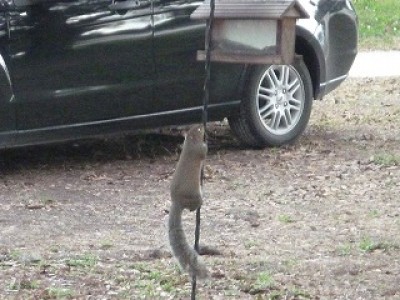 truth diary ブログ写真 2013/01/21