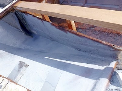 truth diary ブログ写真 2013/02/12