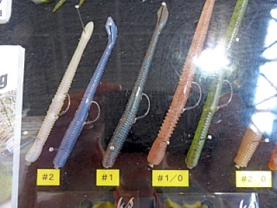 truth diary ブログ写真 2013/03/18