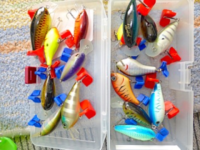 truth diary ブログ写真 2013/03/25