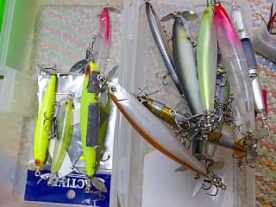 truth diary ブログ写真 2013/03/25