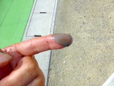 truth diary ブログ写真 2013/04/01