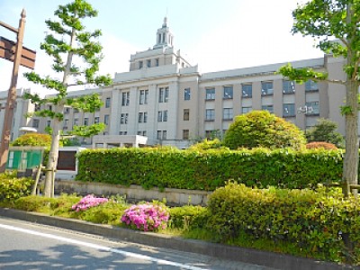 truth diary ブログ写真 2013/05/14