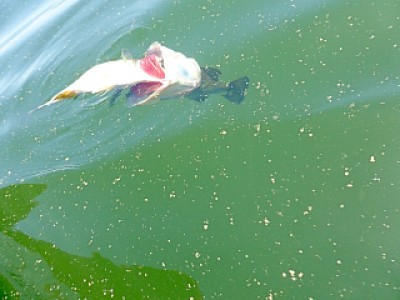 truth diary ブログ写真 2013/05/25