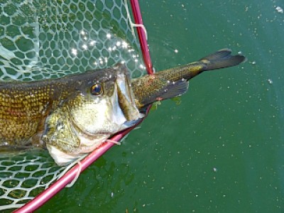 truth diary ブログ写真 2013/05/25