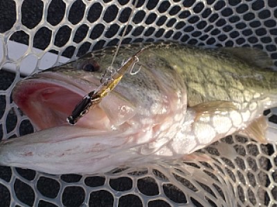 truth diary ブログ写真 2013/10/01