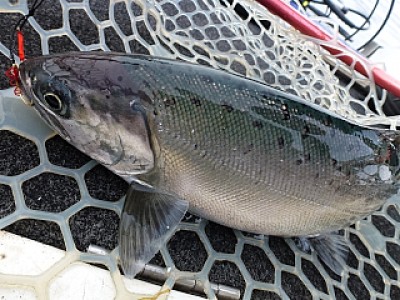 truth diary ブログ写真 2013/10/01